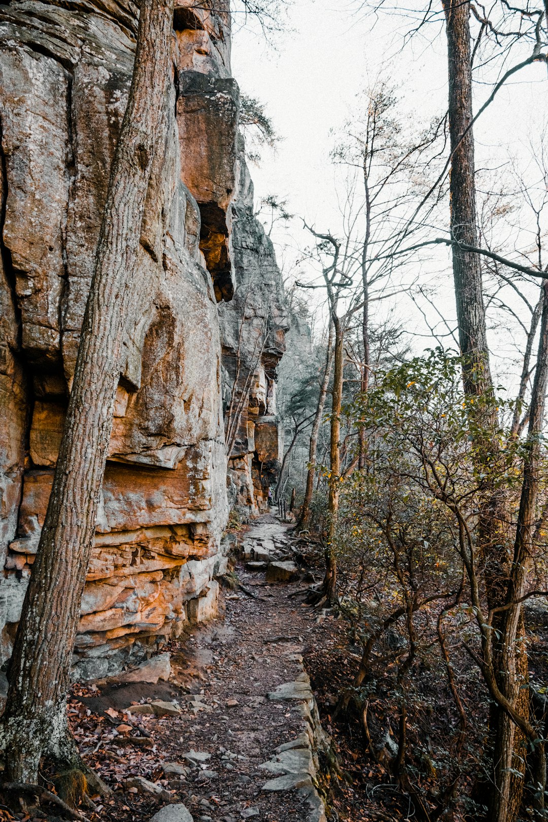 Rocky overlook on Walden’s Ridge near Signal Mountain TN